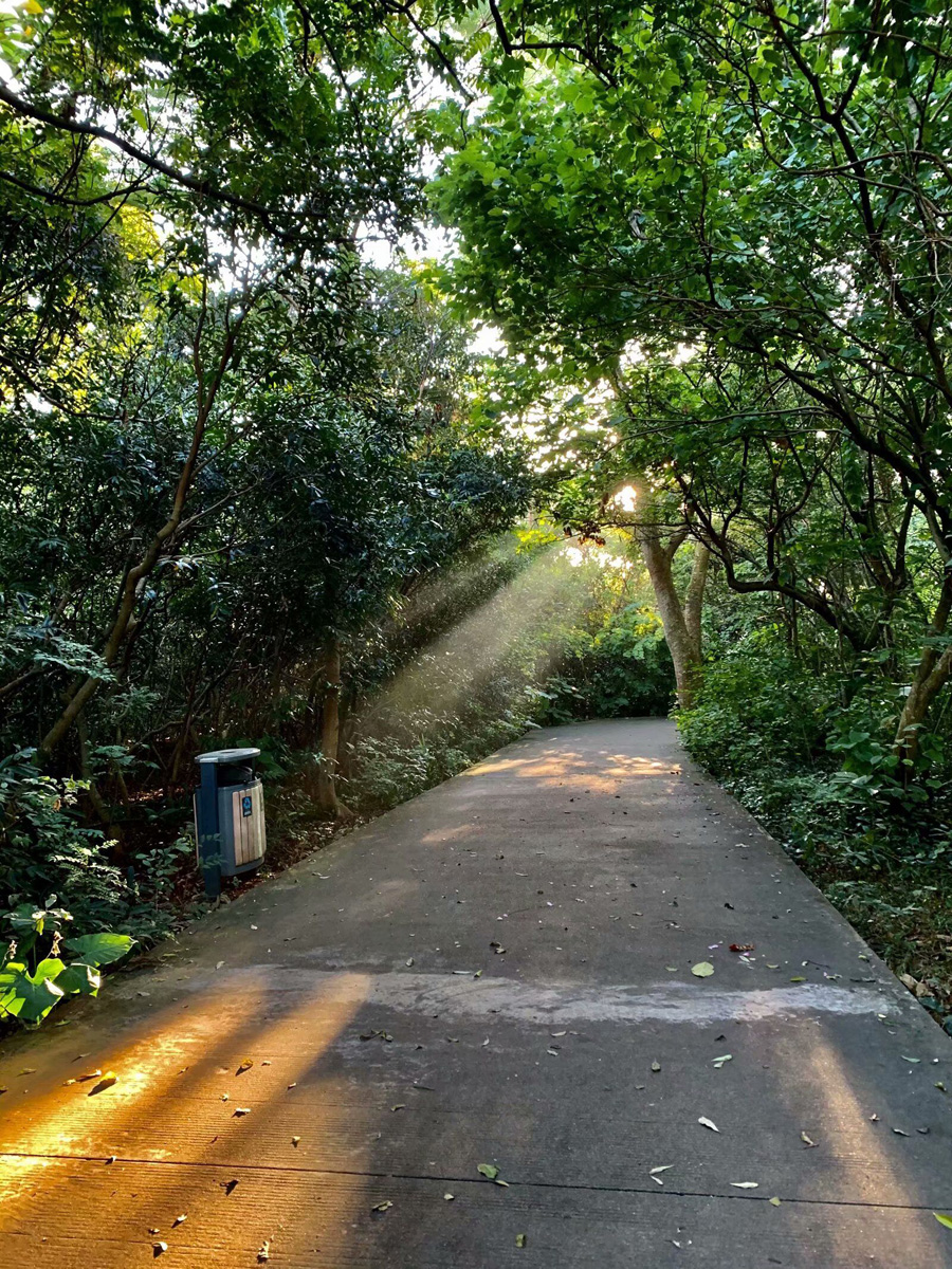 ���ڽ�ţ�X���@