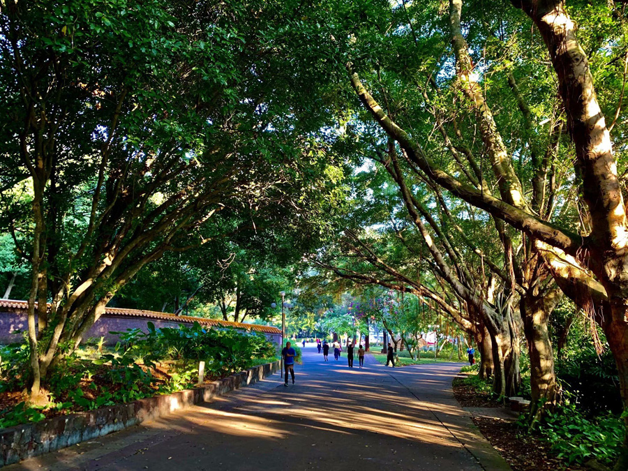 ���ڽ�ţ�X���@