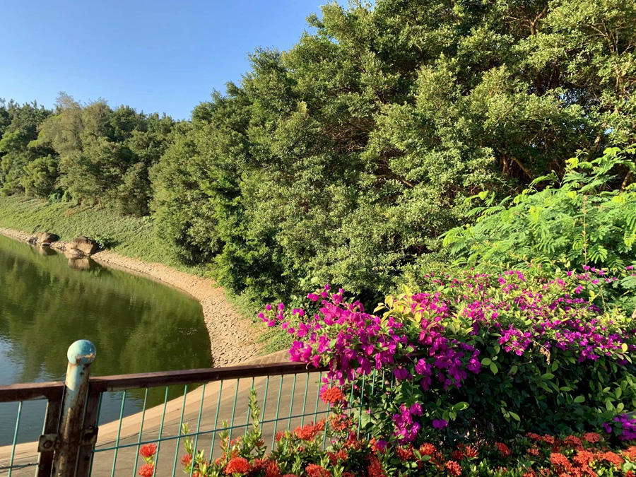 ���ڽ�ţ�X���@