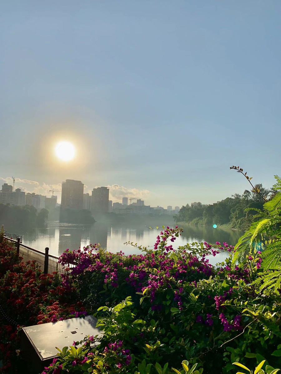 ���ڽ�ţ�X���@