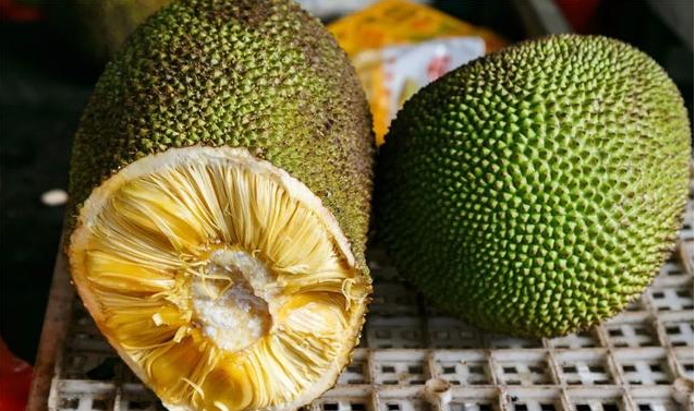 �����ϱ�ˮ���Ј�(ch��ng)