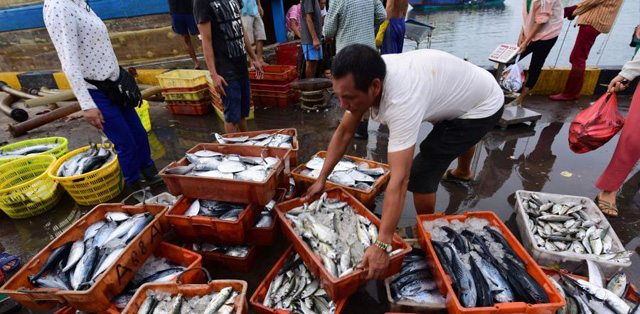 ����̶�T�۴a�^