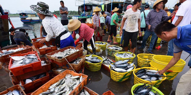 ����̶�T�۴a�^