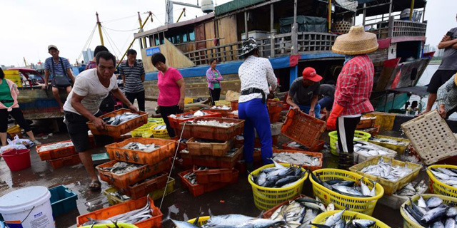 ����̶�T�۴a�^