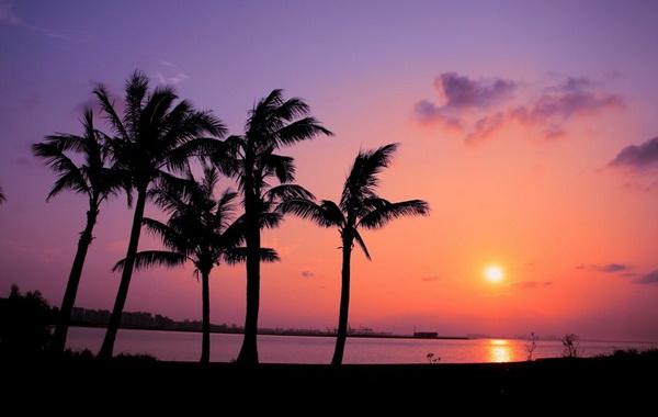 ����Ҭ�Ә�