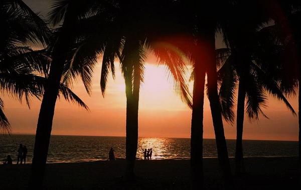 ����Ҭ�Ә�