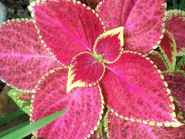 �����������r��