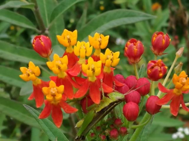 �����������r��