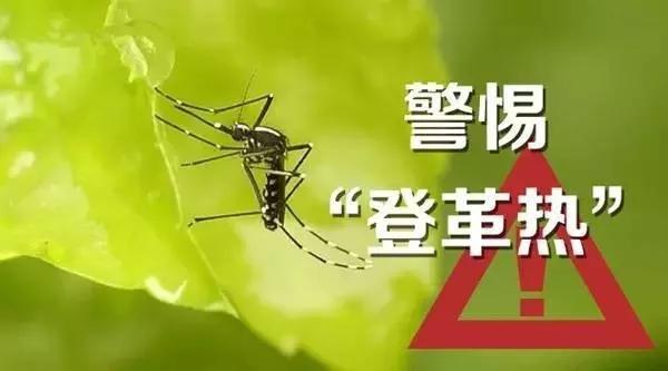 ʲô�ǵǸ����