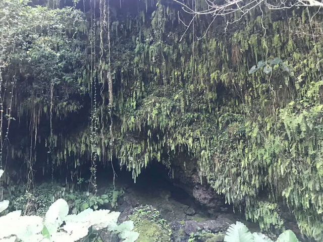 ���ڻ�ɽ��