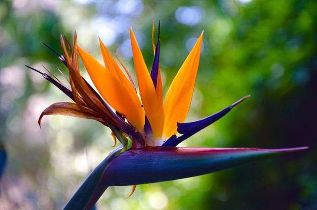 �����B(ni��o)