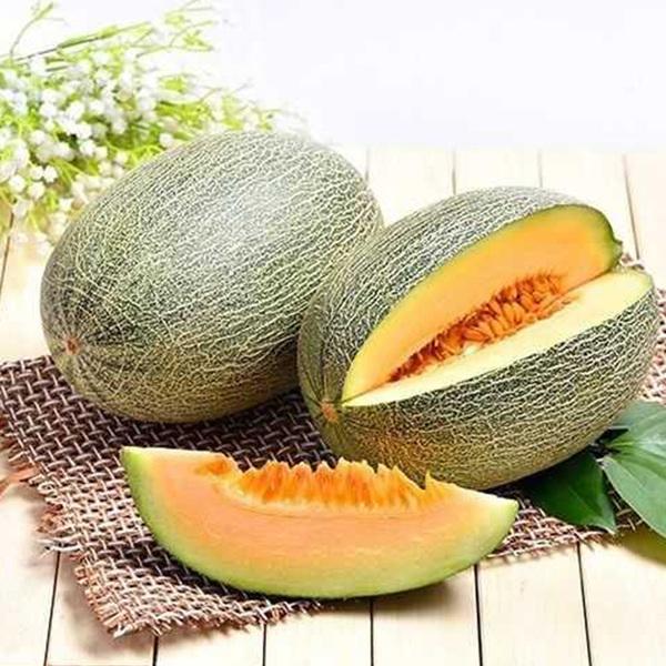 ���Ϲ��ܹ�