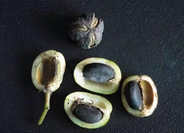 ���L��Ĺ���