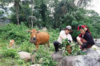 ���t(y��)�������ɼ��Ĳ�ˎ