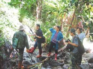 ��ˎ����ղ�