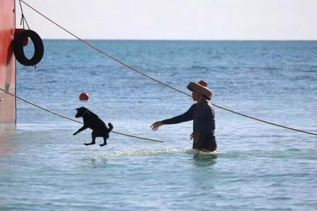 2020�꺣���ݝO��