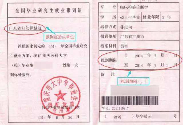 �����C��