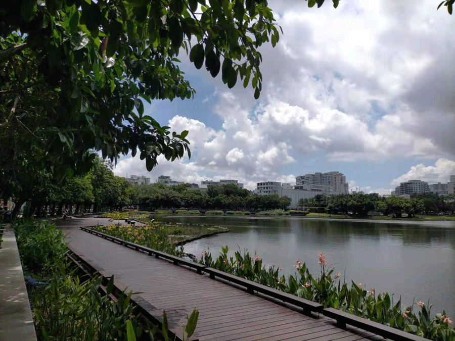 ��߅��ɢ������