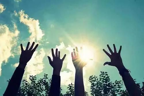 ��ʡ��������ϴ�W(xu��)�����w���Ƿ񰴺������߈�(zh��)����