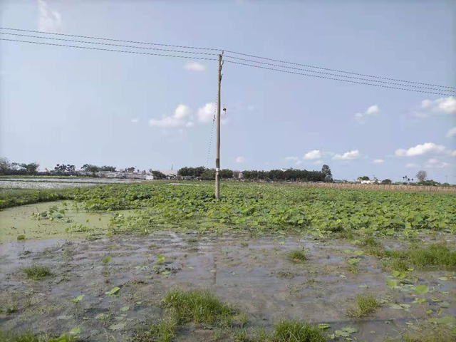 �����н��|�^(q��)������2021���S��