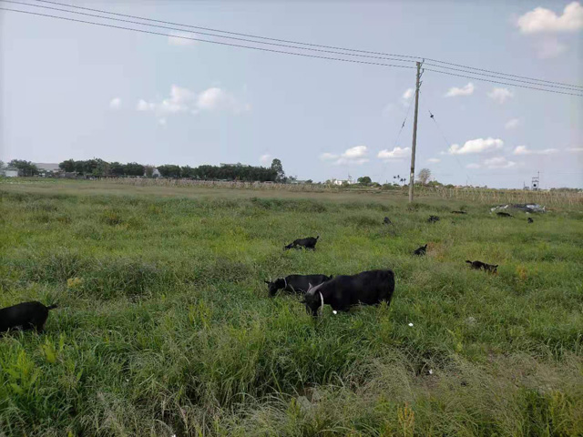 �����н��|�^(q��)������2021���S��