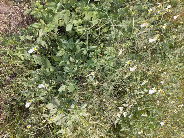 �����н��|�^(q��)������2021���S��