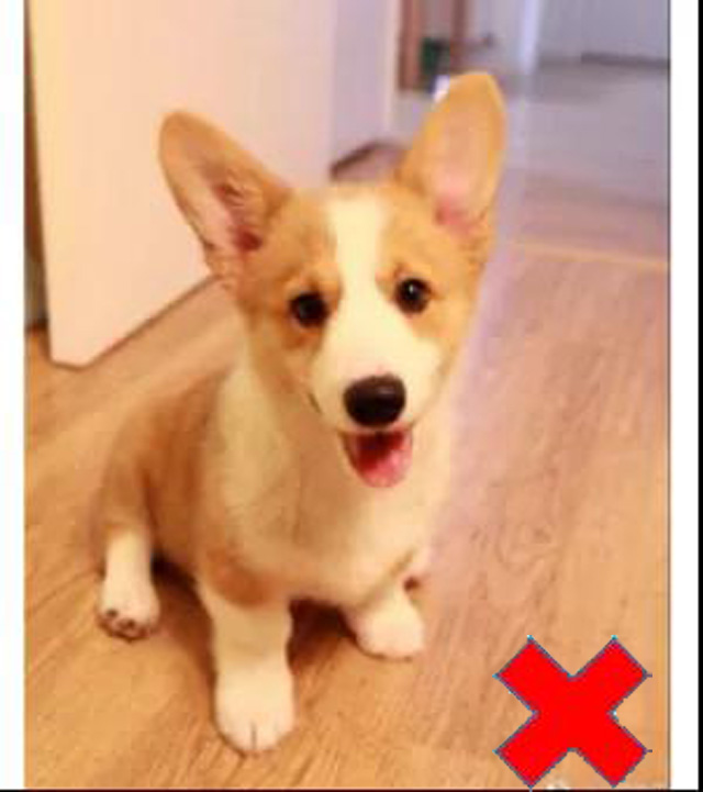 �������Օr��������Ҫ��֫վ����(c��)����