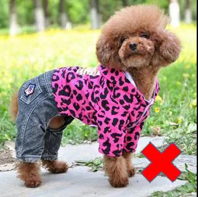 ������վ�˷ǳ��Ę˜����������ܸ�ֱ�^��չ�F(xi��n)����ëɫ���w�ͣ����������յĕr��Ո���������·�Ó��