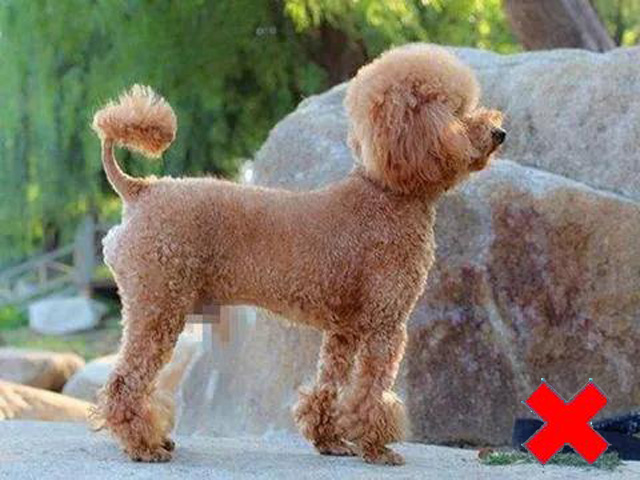 ������վ�˂�(c��)�涼�ǳ��ã���������Ę��Ҫ�D(zhu��n)�^�������R�^