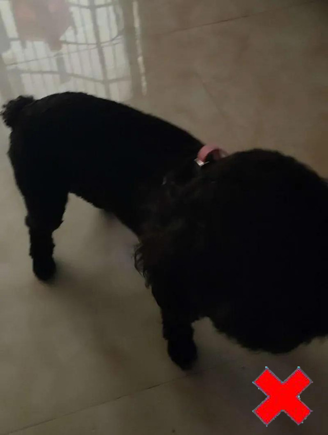 �⾀����Ȯֻ��Ƭ���������@��Ҳ�ǲ��ϸ��