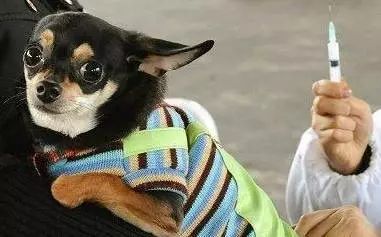 ���������B(y��ng)Ȯ����������֮����ƪ