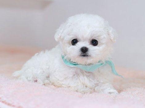 ����һ�ҿ����B(y��ng)���ٹ�����