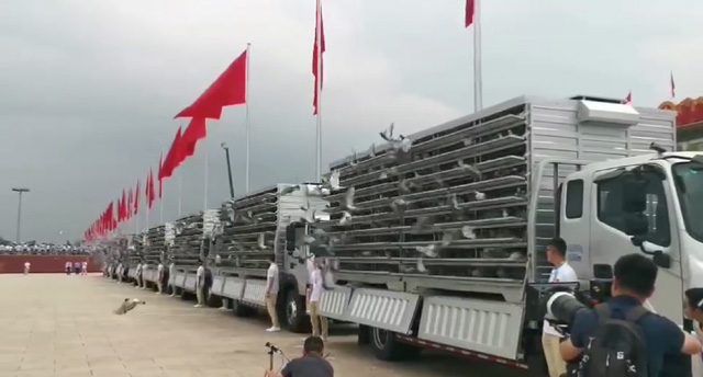 ���ϑcף���-����W��Rϵ�Ї��������п����w��ƽ��