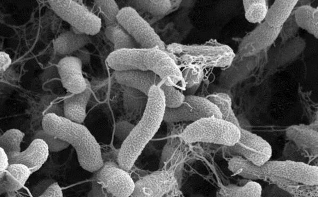 ���Ⱦ���ٿ���Ո(q��ng)���L(zh��ng)�r(sh��)�g��