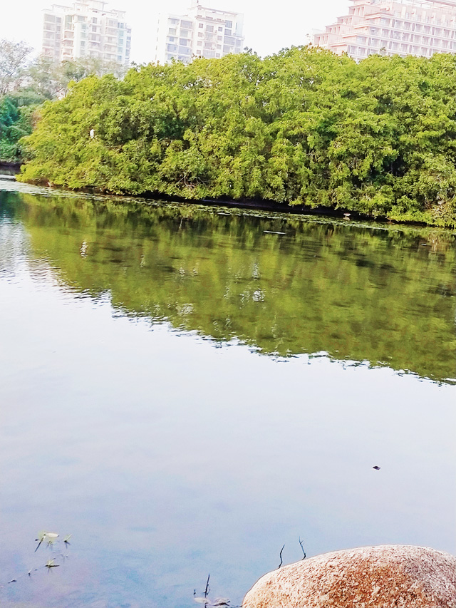 ���~�h���¼��g��I(y��)����������ʲô��