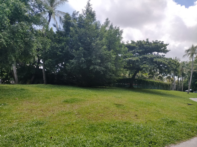 ��ͤ�h���¼��g(sh��)��I(y��)��(ji��ng)��(l��)������ʲô��