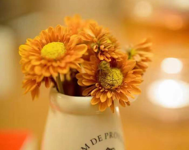 �����������t(y��)���U�M�����٣����N����������ô�k��